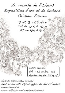 Exposition lichen Orianne Zanone